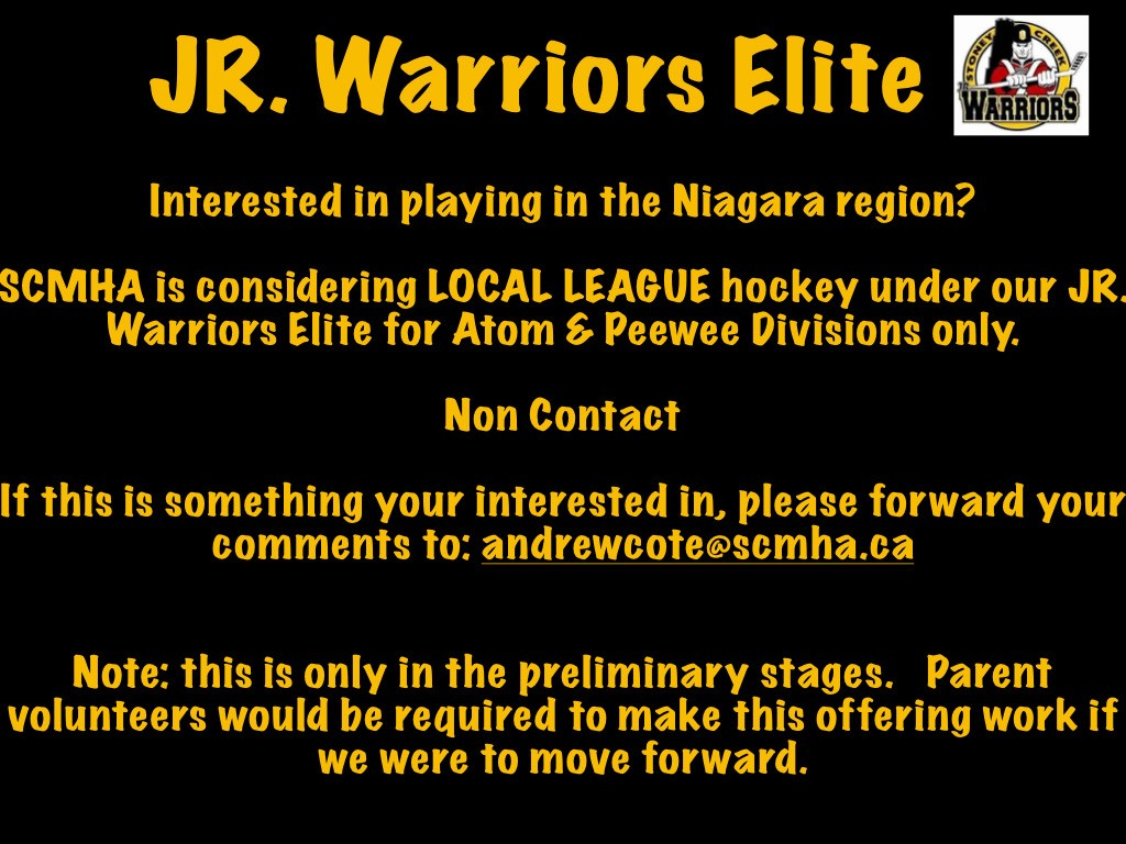 Local_League_Flyer.png