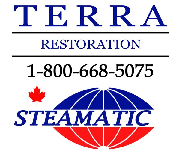 Terra Restoration/ Steamatic Hamilton