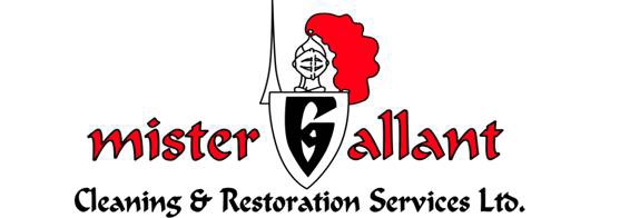 Mister Gallant Restorations